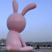 emm_的个人资料头像