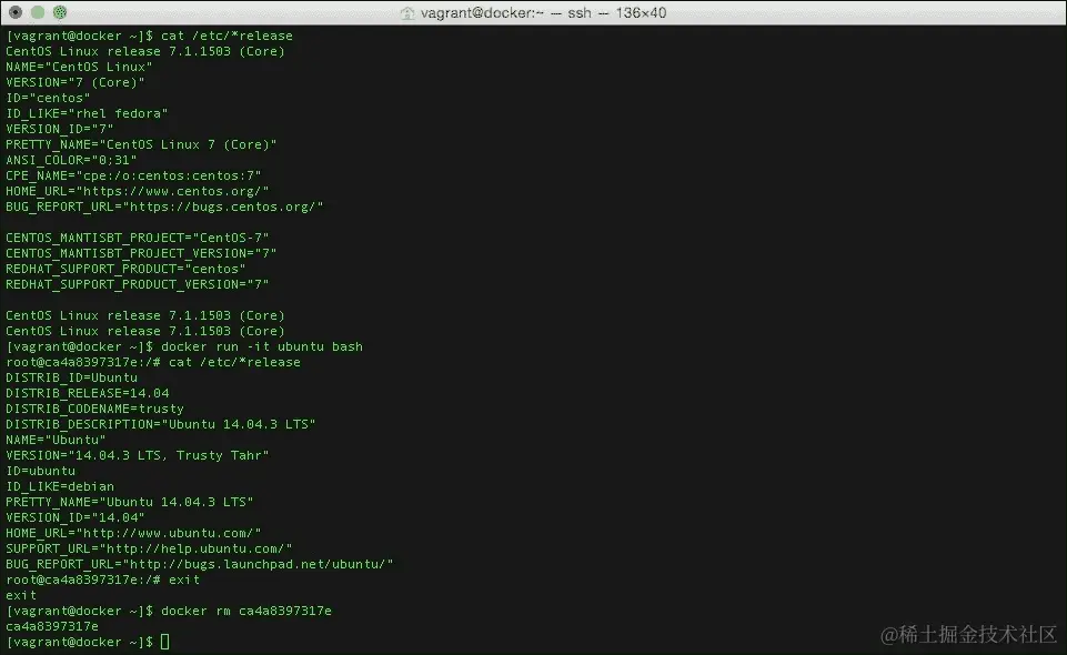 运行虚拟服务器