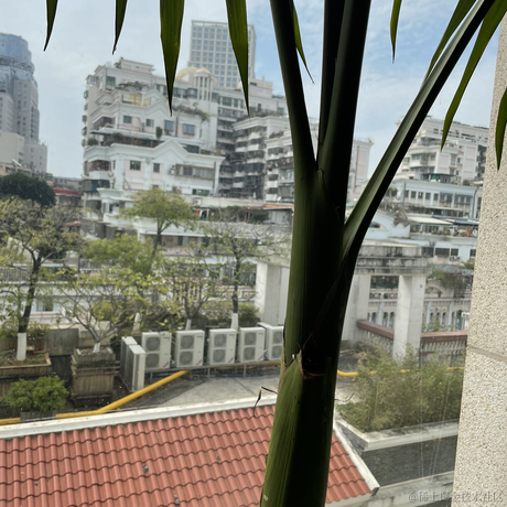 zoew于2023-01-27 12:42发布的图片