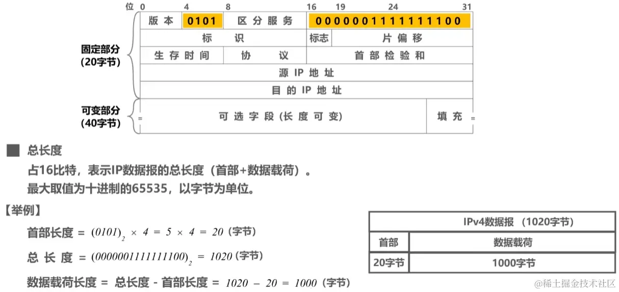 image-20230728044335538