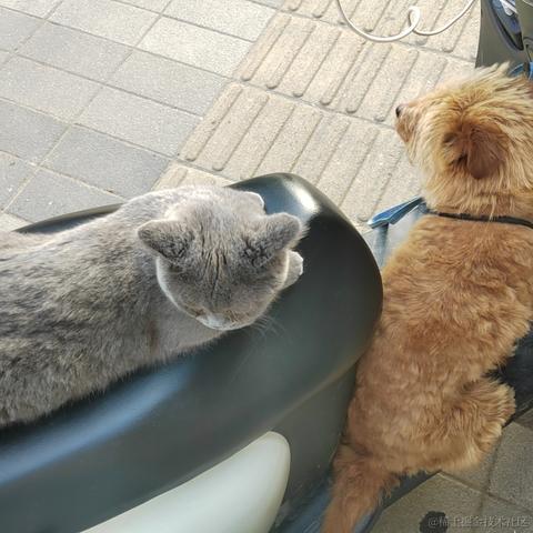 漾雾于2023-05-16 11:05发布的图片