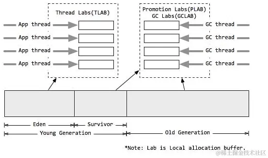 image-20231025215816612