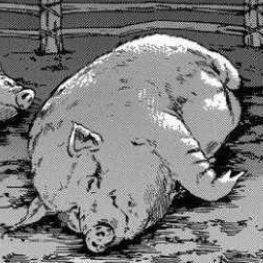 睡觉真的有用于2022-11-12 10:02发布的图片