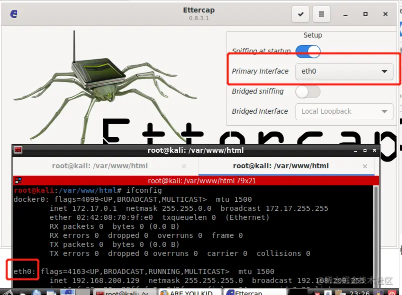 image-20210628232707420