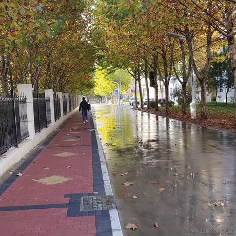 一天到晚淹死的鱼于2022-11-12 08:04发布的图片