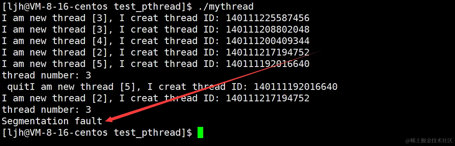 image-20240212204659237