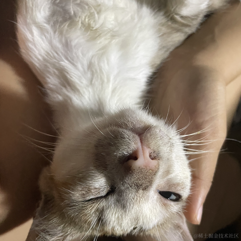 makedown只能秀于2023-07-15 10:40发布的图片