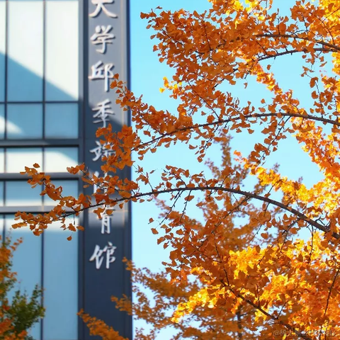 cheongchengwa于2022-04-21 19:53发布的图片