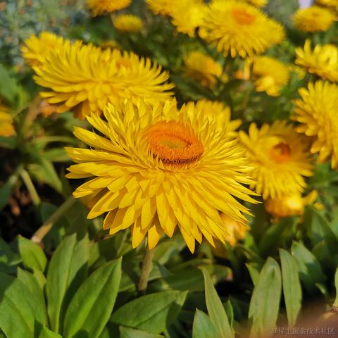 小小喵于2023-03-11 11:57发布的图片