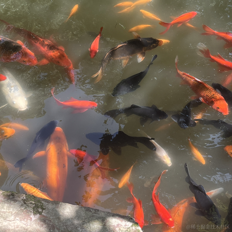 玛卡巴卡139于2023-04-11 23:03发布的图片