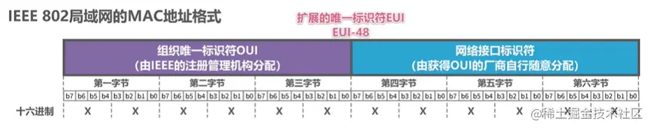 MAC地址例子