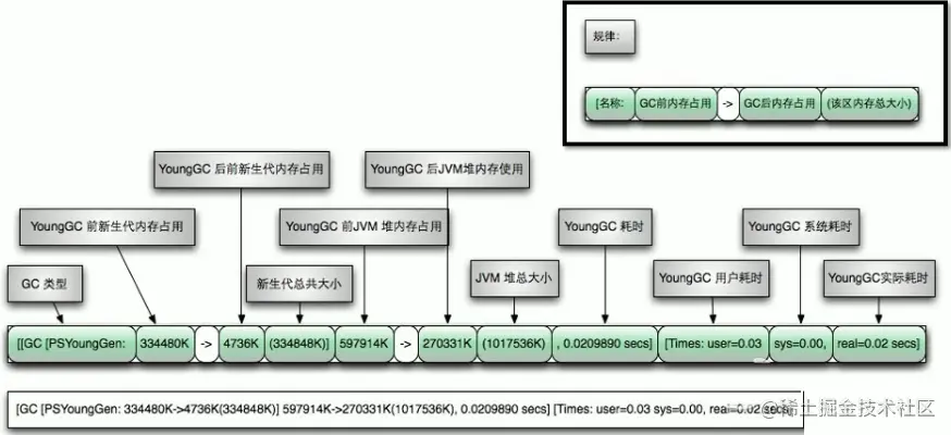 image-20210228102515386