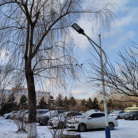 夏炎于2022-11-29 15:09发布的图片