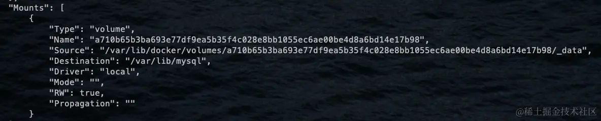 image-20240706003722013