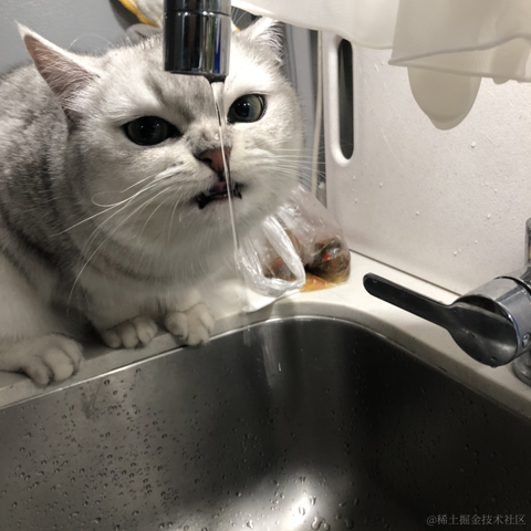 HelloGitHub于2020-10-06 17:59发布的图片