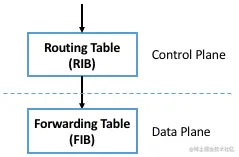 图3. 控制面(及其对应的RIB)与数据面(及其对应的FIB)解耦。