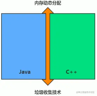 image-20210213215426319