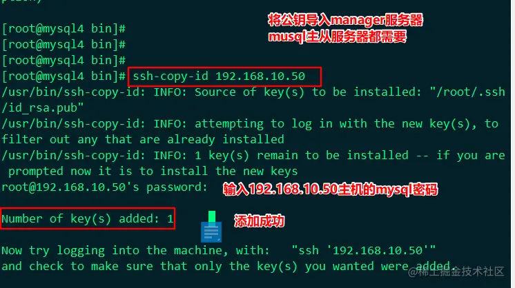 image-20220604204438120