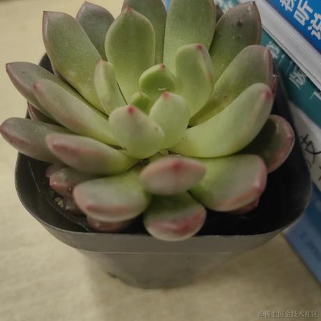 曙光981于2023-04-11 20:58发布的图片