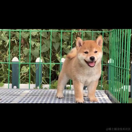 _一杯冰美式_于2023-07-20 14:21发布的图片