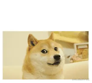 通过移动构建的图层