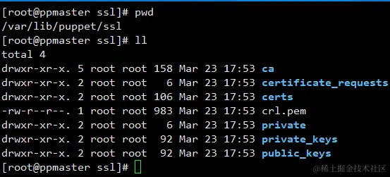 image-20220408141711416