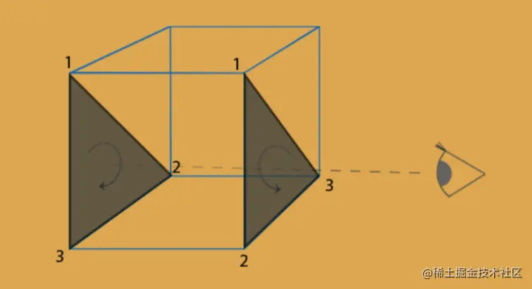 立方体中的正背面