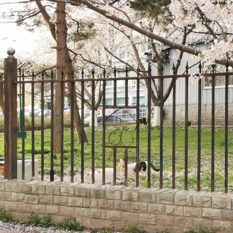 无趣的汽水于2023-05-18 22:48发布的图片