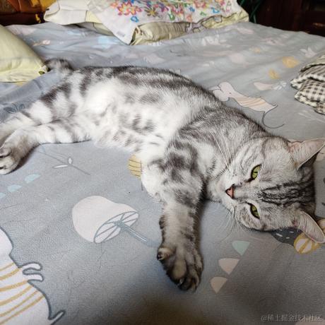 汪汪队坐大牢于2022-11-25 16:23发布的图片