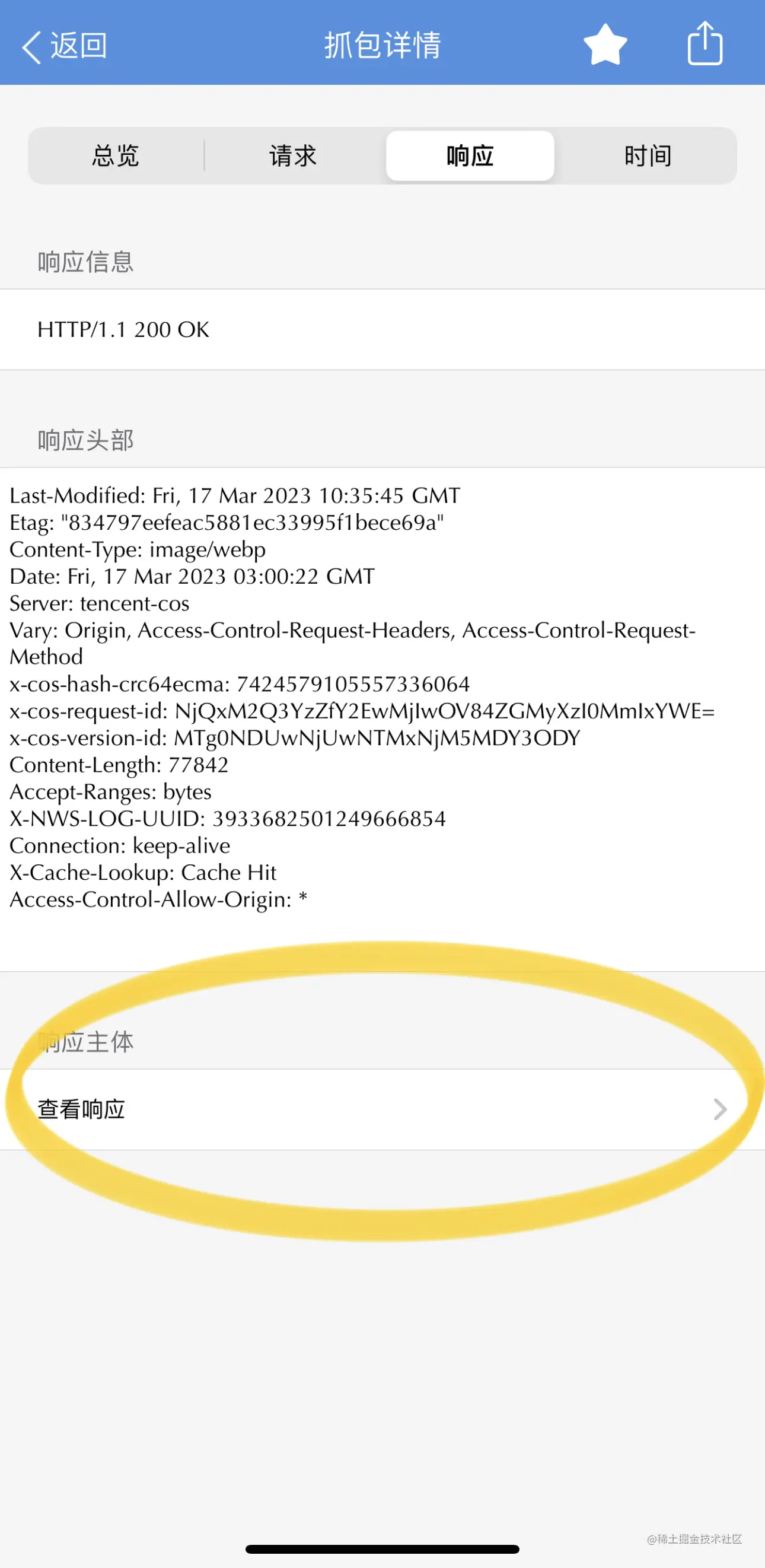 查看响应主体