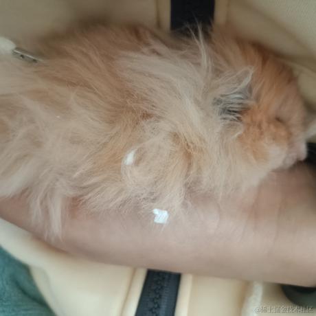 内mar儿于2022-11-30 16:39发布的图片