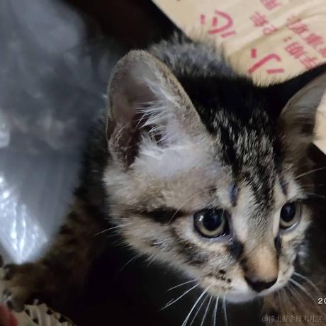 estar于2022-11-19 23:07发布的图片