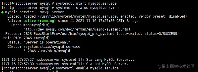 01.CentOS7.X安装MySQL8.0教程02.jpg