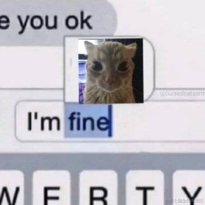 Tomboynxde于2022-11-29 17:06发布的图片