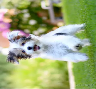 Example Rotate Image 90 degree anticlockwise