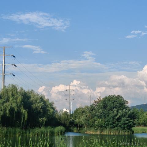 __Petrichor于2024-07-04 17:50发布的图片