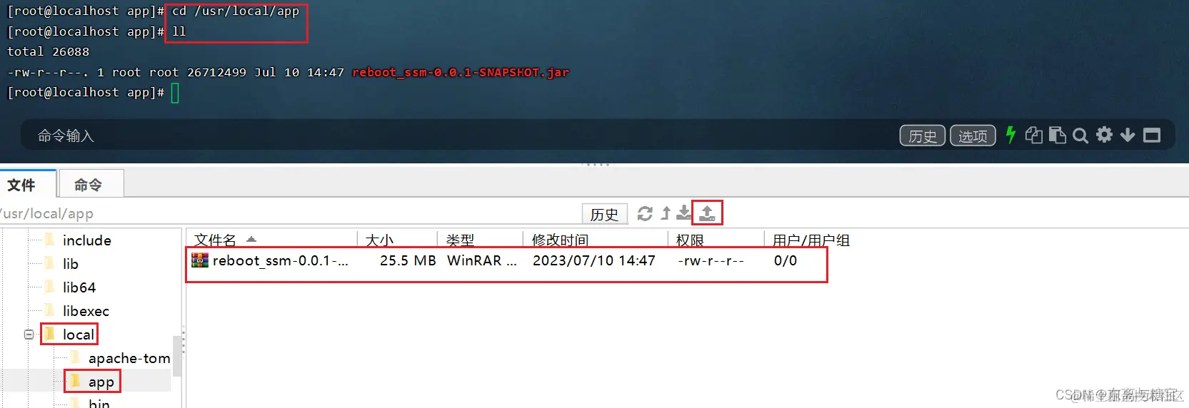 在这里插入图片描述