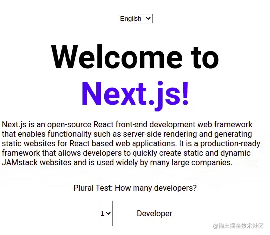 Gif of sample Next.js application switching between languages