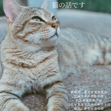 胖胖的小奶龙于2024-05-30 00:32发布的图片