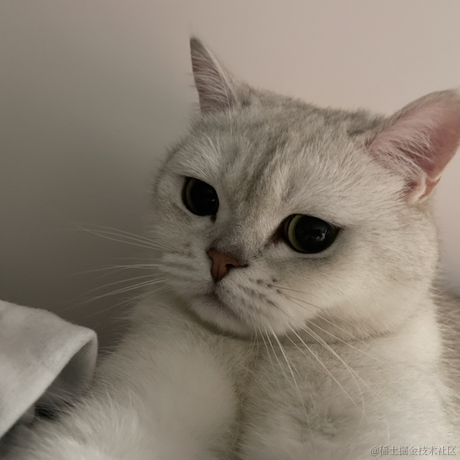 喵怼怼于2023-05-25 08:51发布的图片