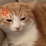 Utterance02于2022-12-24 11:17发布的图片