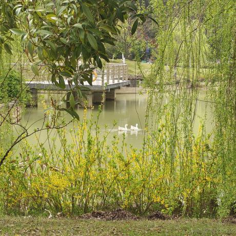 猪鼻小向晚于2023-07-06 14:07发布的图片