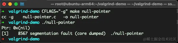 image-20240427231053913