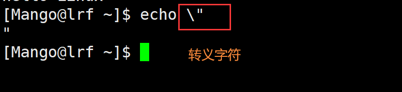 image-20220313113411483