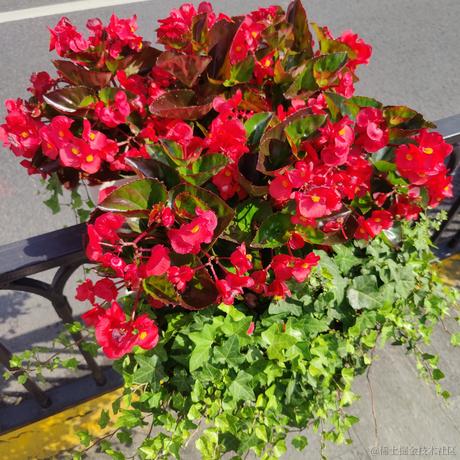 吃鱼徐于2023-05-29 09:22发布的图片