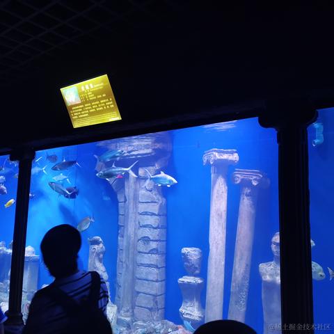 用户7919710410054于2023-05-08 23:54发布的图片