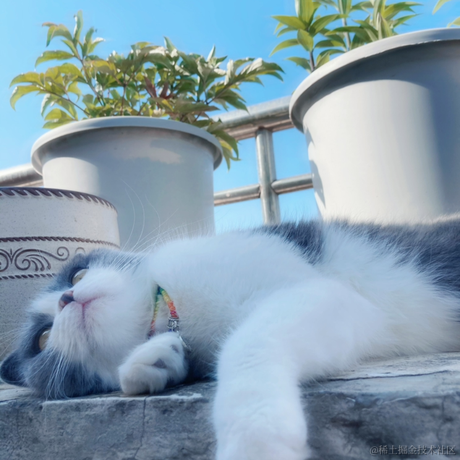 泡芙冰汽水儿于2023-05-15 16:59发布的图片