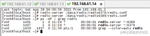 image-20210828235018009
