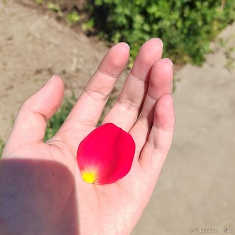 袁诺安于2023-06-26 17:53发布的图片