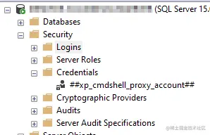 Credential created after the execution of sp_xp_cmdshell_proxy_account